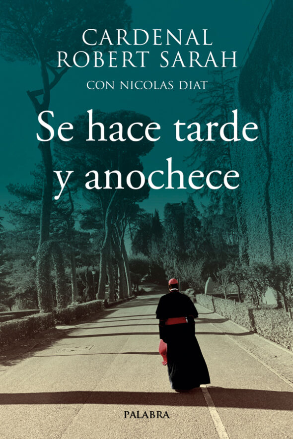 COLECCIÓN MUNDO Y CRISTIANISMO. PASTORAL - Imagen 12