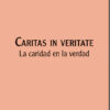 COLECCIÓN ENCÍCLICAS-DOCUMENTOS - Imagen 39