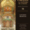 COLECCIÓN LA BIBLIA COMENTADA POR LOS PADRES DE LA IGLESIA - Imagen 12